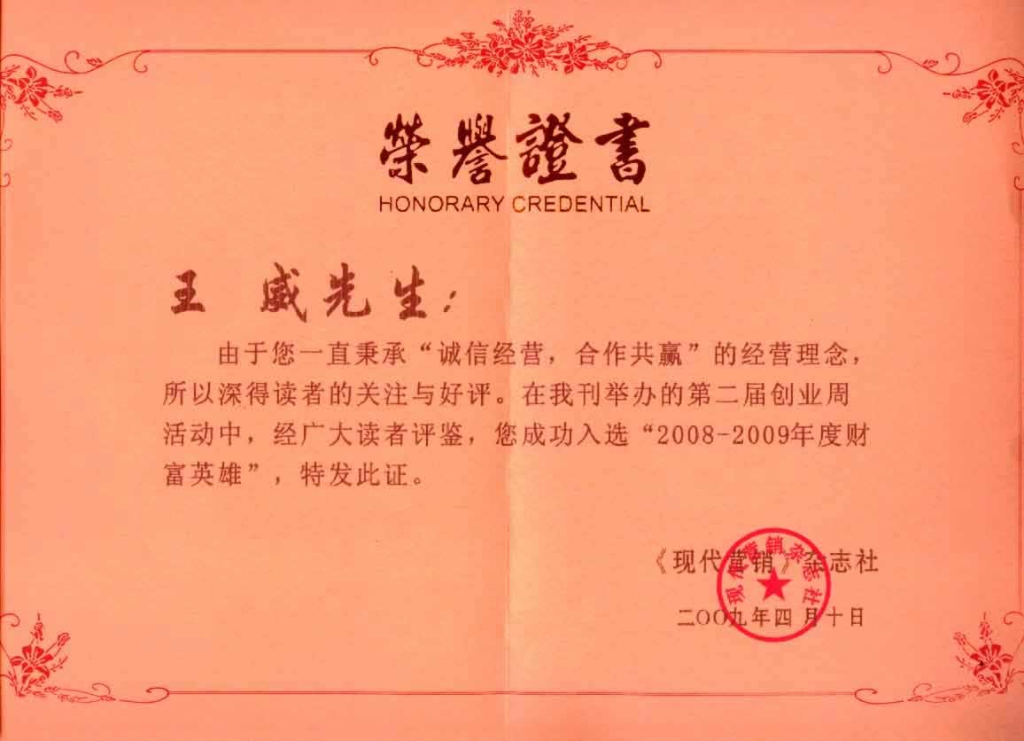 2008-2009年度財(cái)富英雄